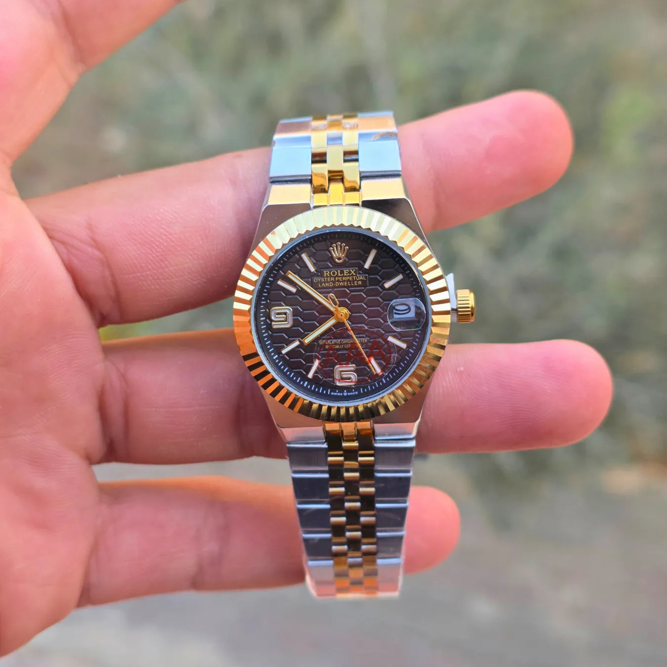 Rolex land dweller women