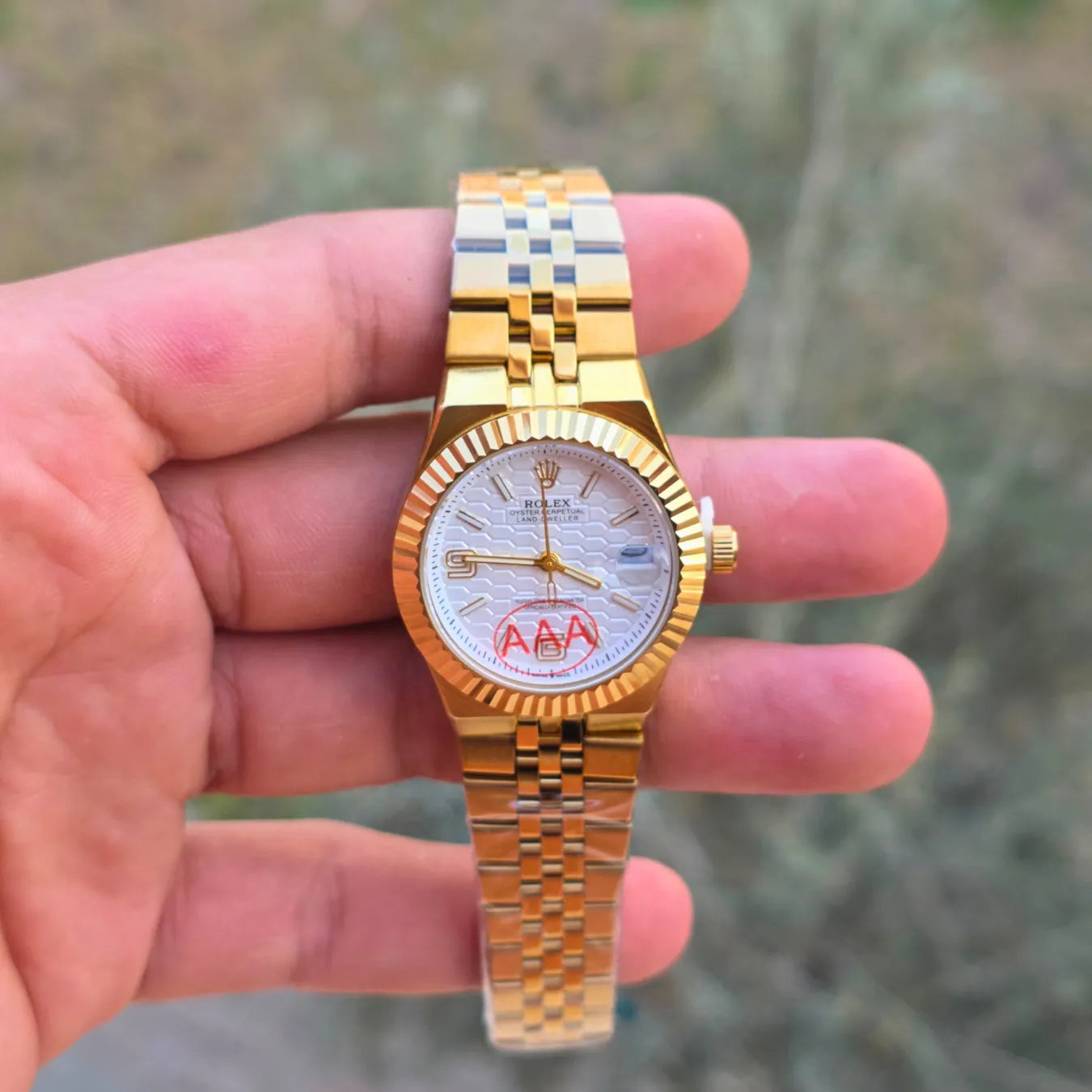 Rolex land dweller women