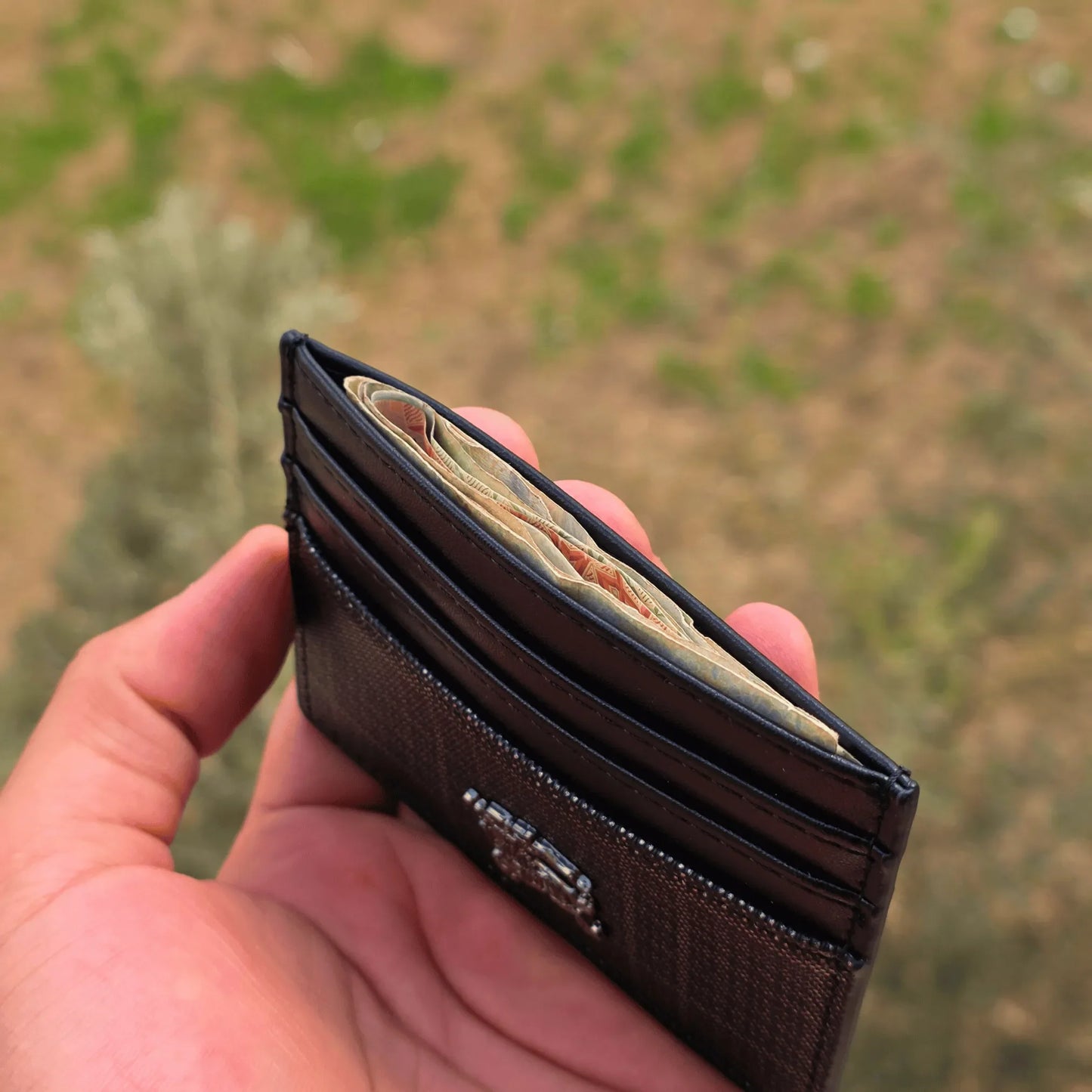 Lacoste Black card holder