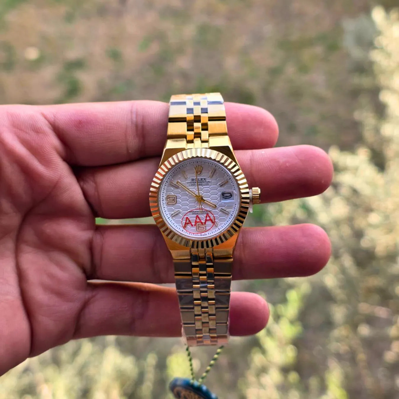 Rolex land dweller women