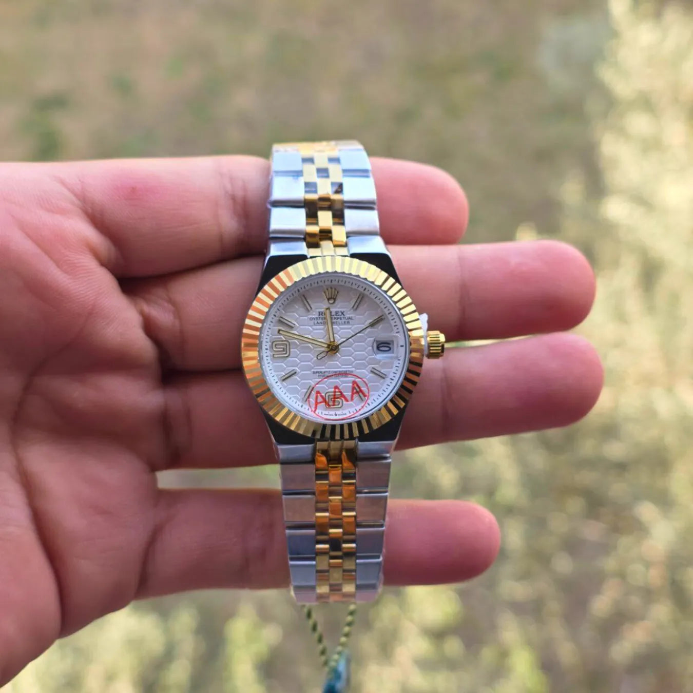 Rolex land dweller women