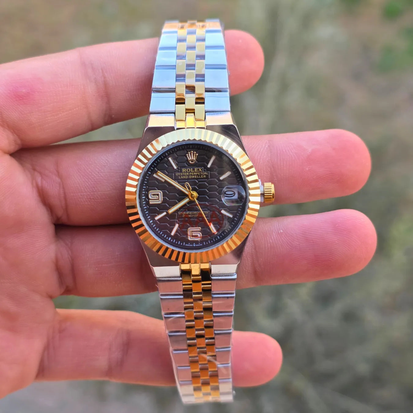 Rolex land dweller women
